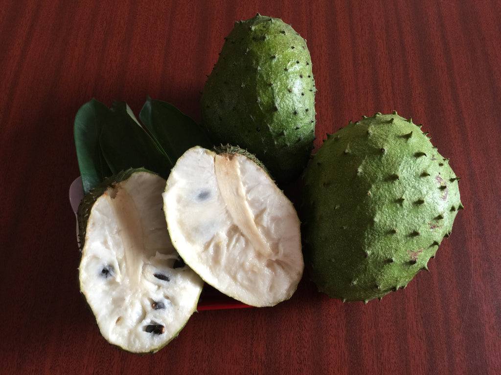 Why are Soursop Leaves is a must have at home?